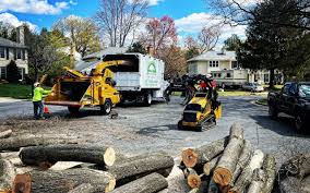 Best Utility Line Clearance  in Long Beach, NY