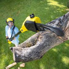 Lawn Drainage Solutions in Long Beach, NY