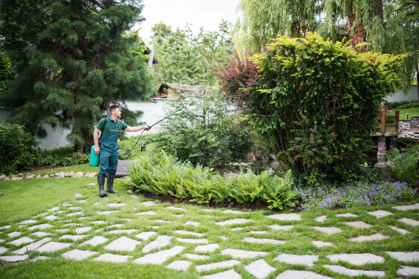Best Root Management and Removal  in Long Beach, NY